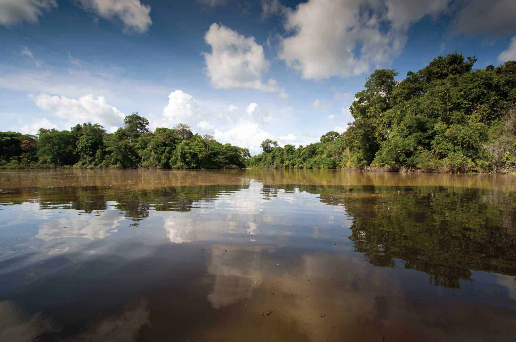 Adventures in the Colombian Amazon rainforest - The Colombian Way