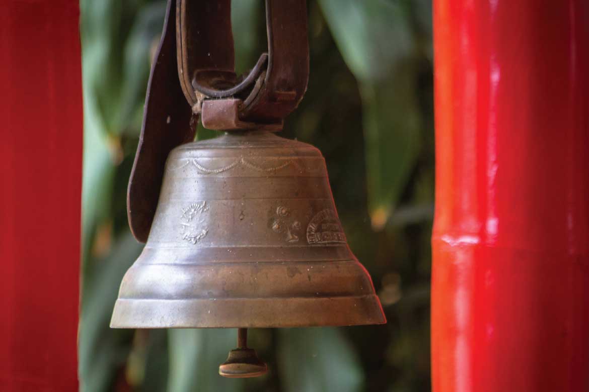 Hacienda Venecia coffee plantation