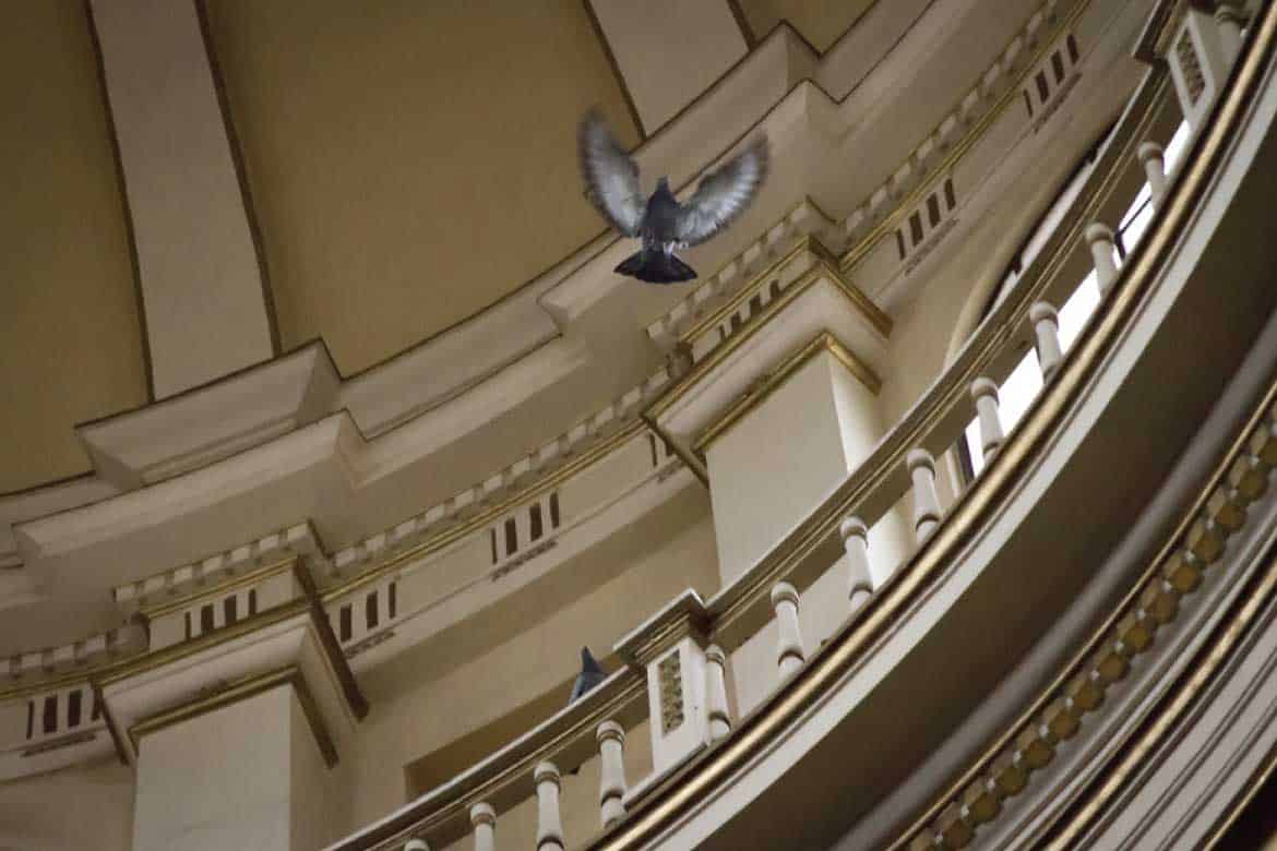 Bogotá city tour Colombia cathedral