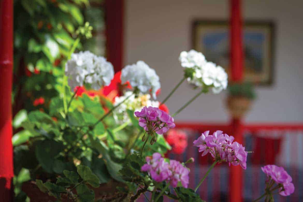 Hacienda Venecia coffee plantation