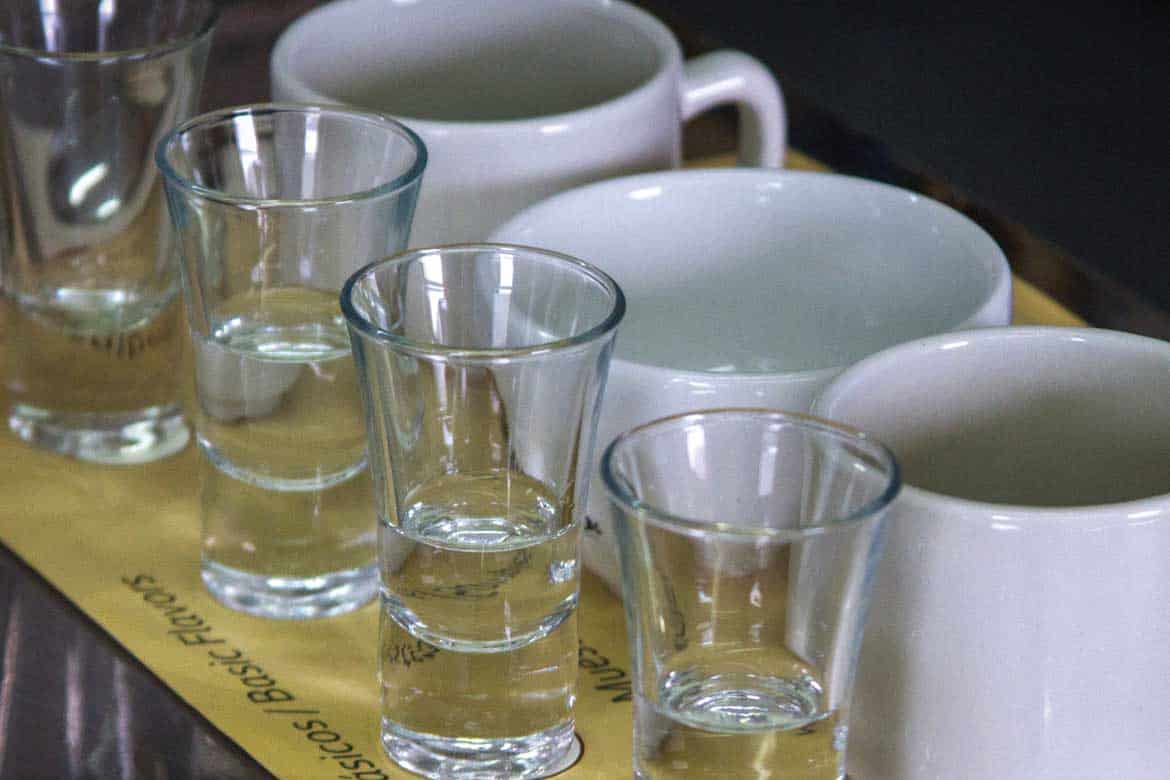 San Alberto coffee tour Buenavista