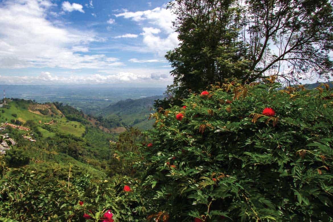 San Alberto coffee tour Buenavista