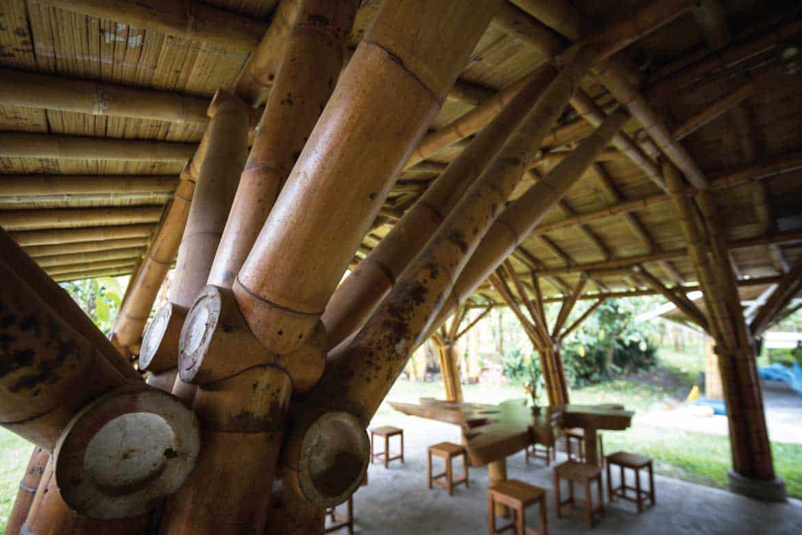 Paraiso del Bambu y la Guadua