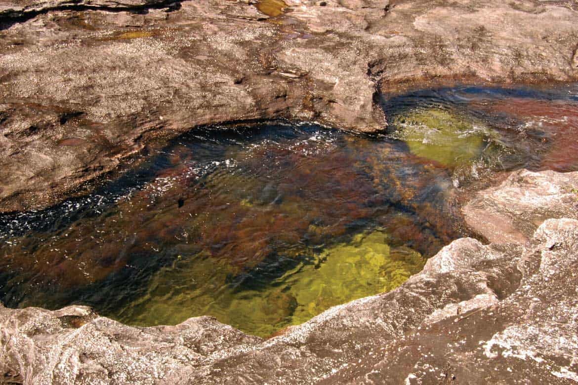 Caño Cristales river Colombia tours