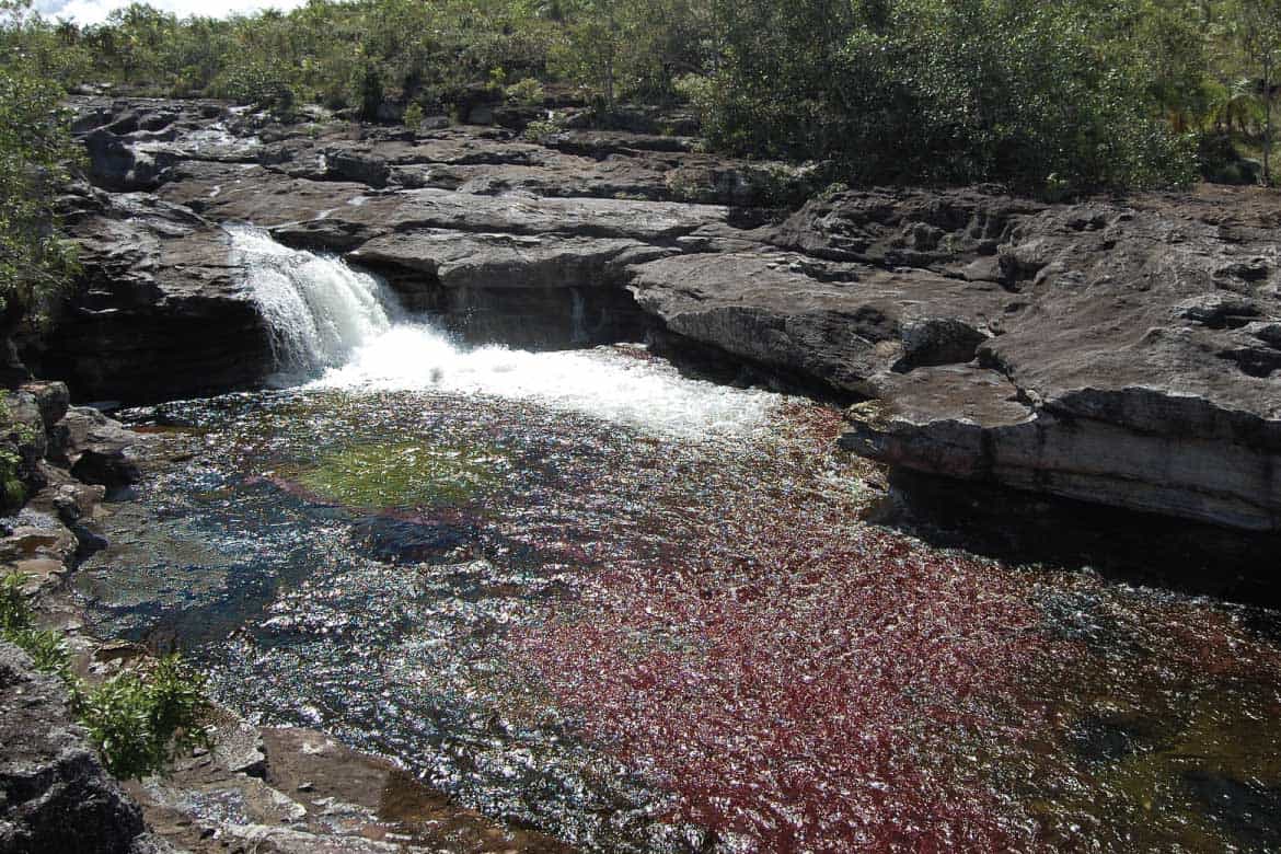 Caño Cristales river Colombia tours