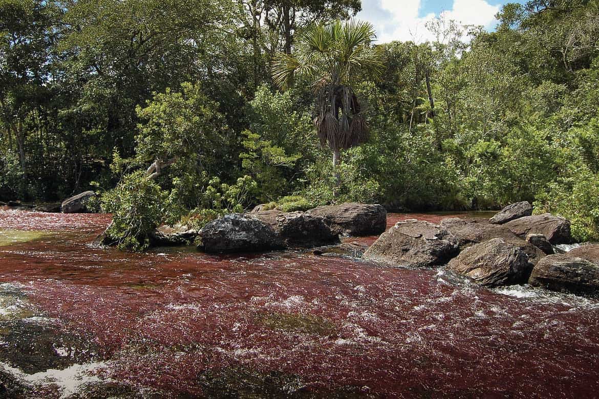 Caño Cristales river Colombia tours