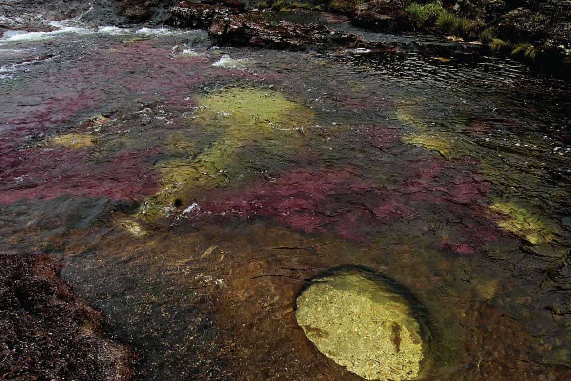 Caño Cristales river Colombia tours