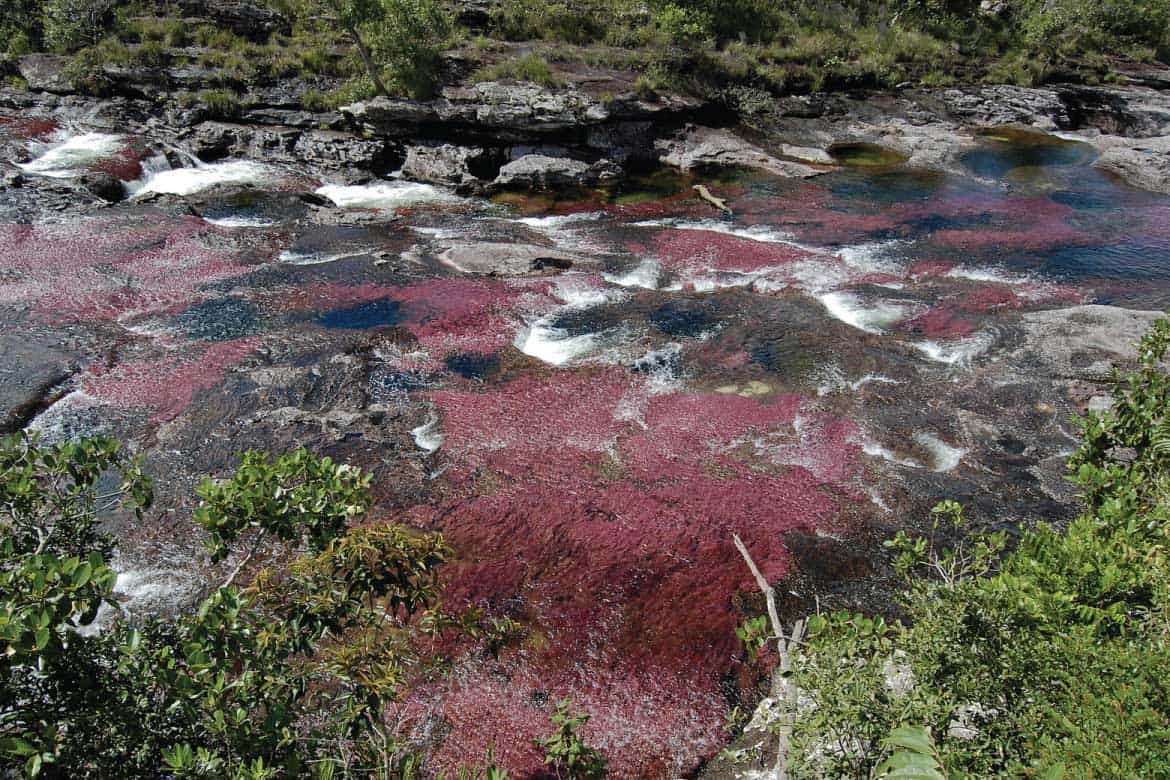 Caño Cristales river Colombia tours