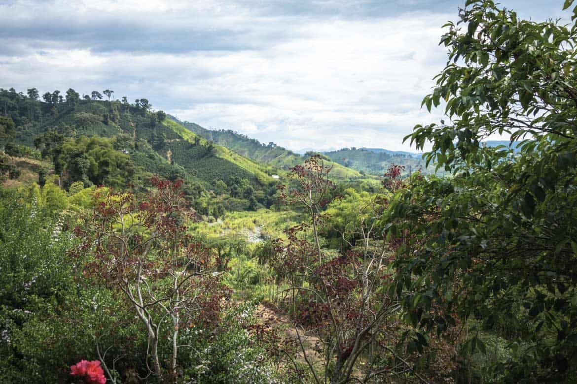 Hacienda Venecia Colombia