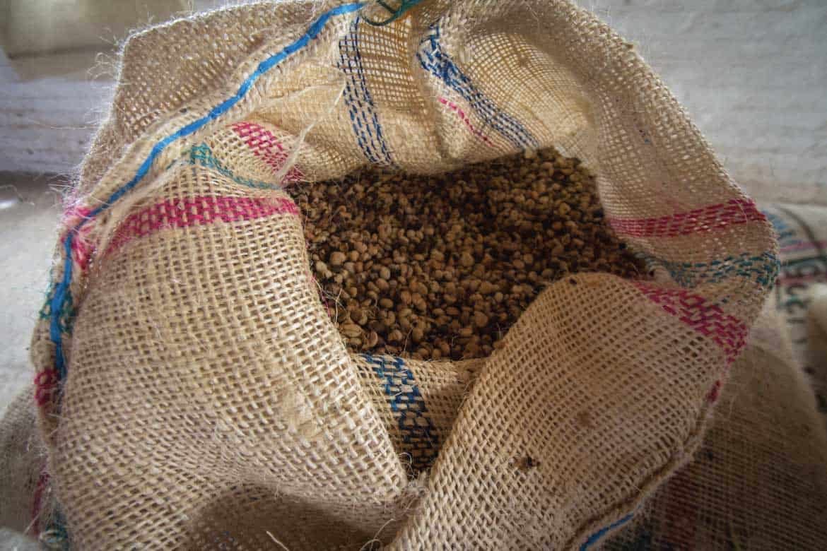 Hacienda Venecia coffee plantation