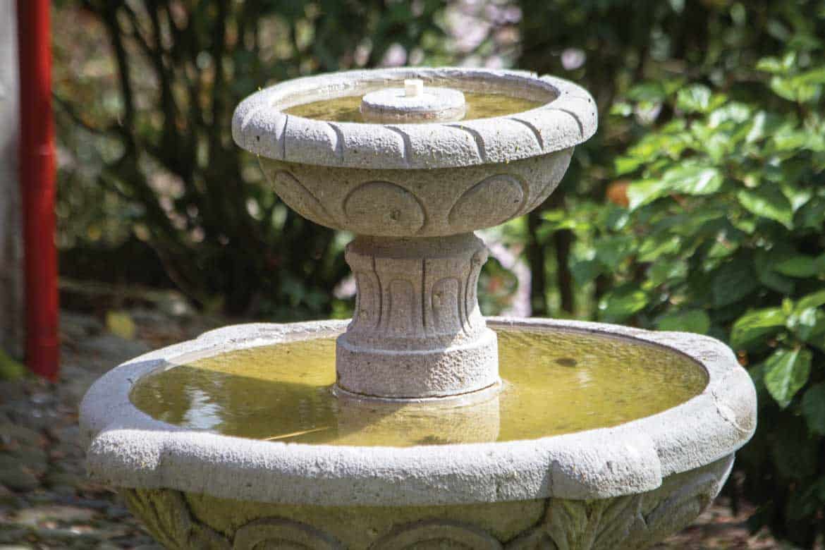 Hacienda Venecia Colombia