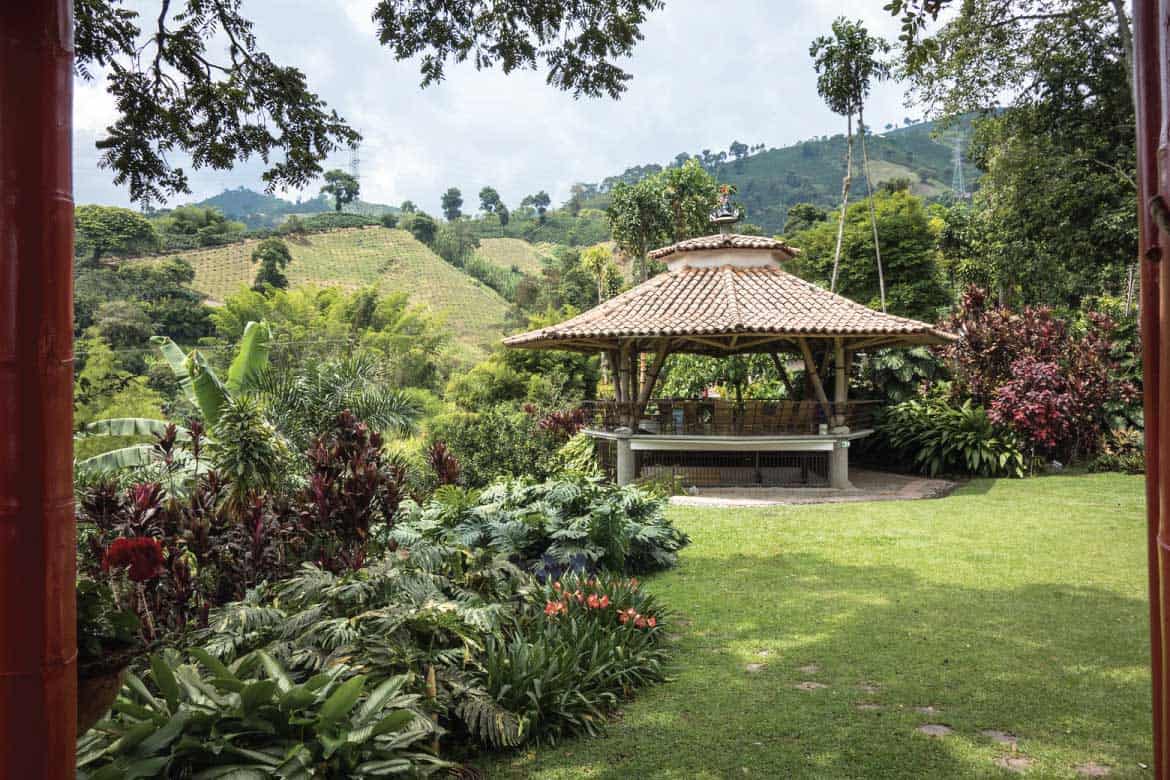 Hacienda Venecia coffee plantation