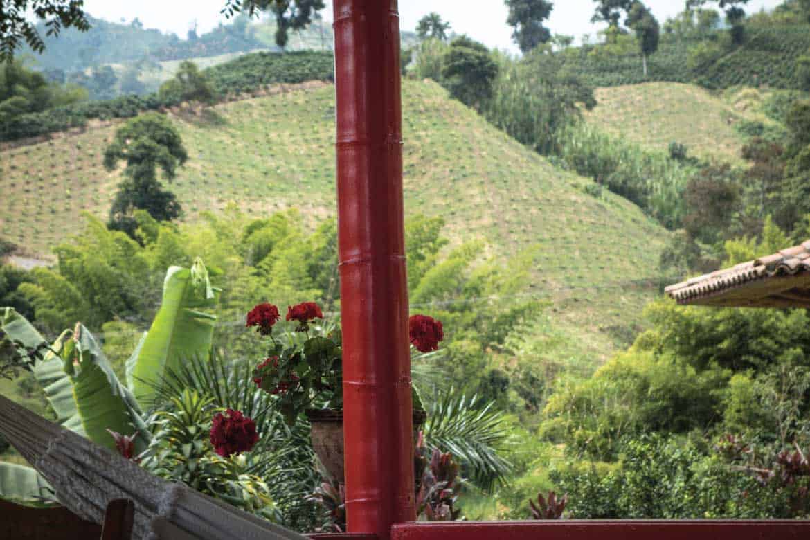 Hacienda Venecia coffee plantation