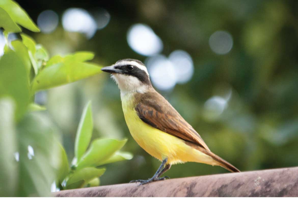 Jardin Antioquia Colombia