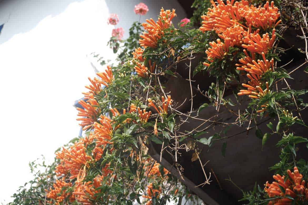 Jardin Antioquia Colombia