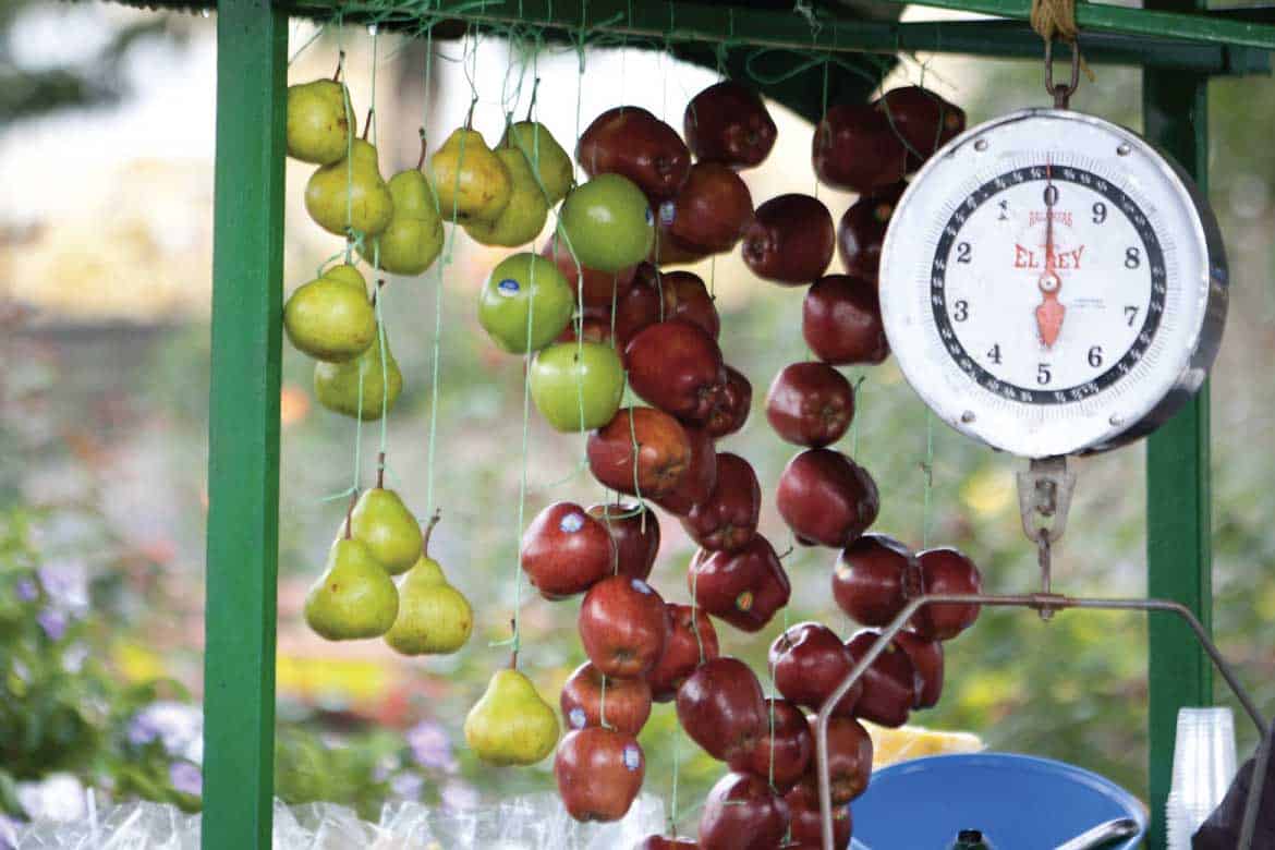 Jardin Antioquia Colombia