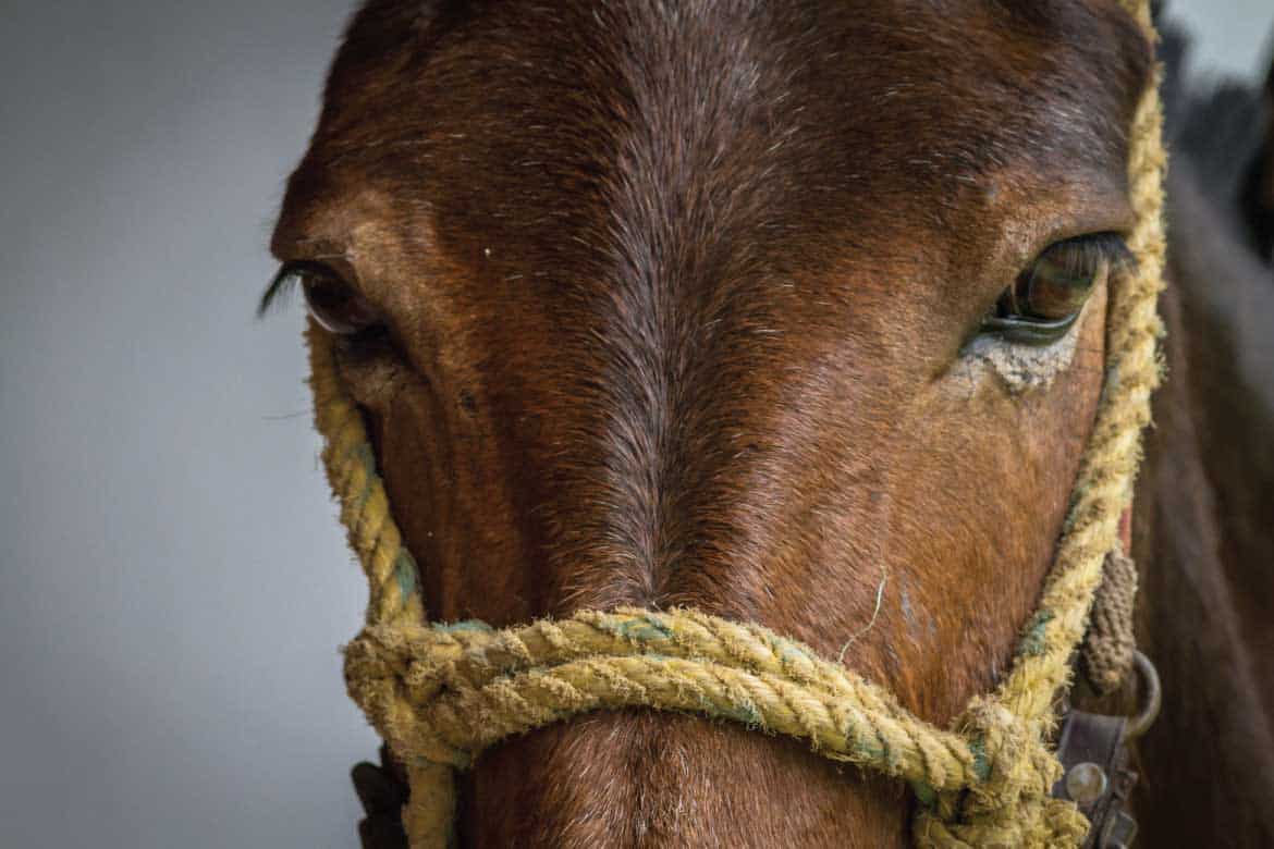 Jardin Antioquia Colombia