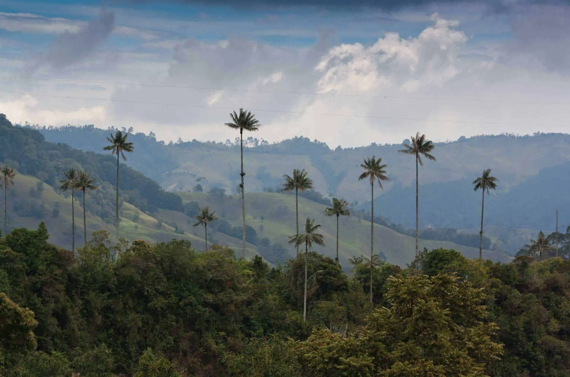 Cocora Valley Colombia