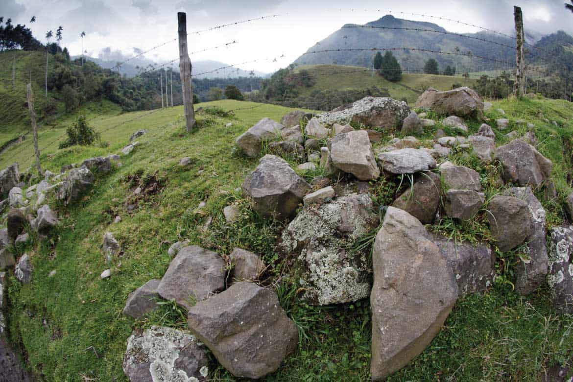 Cocora Valley Colombia