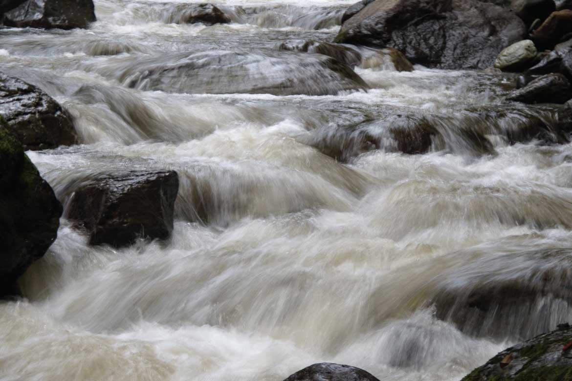 Cocora Valley Colombia