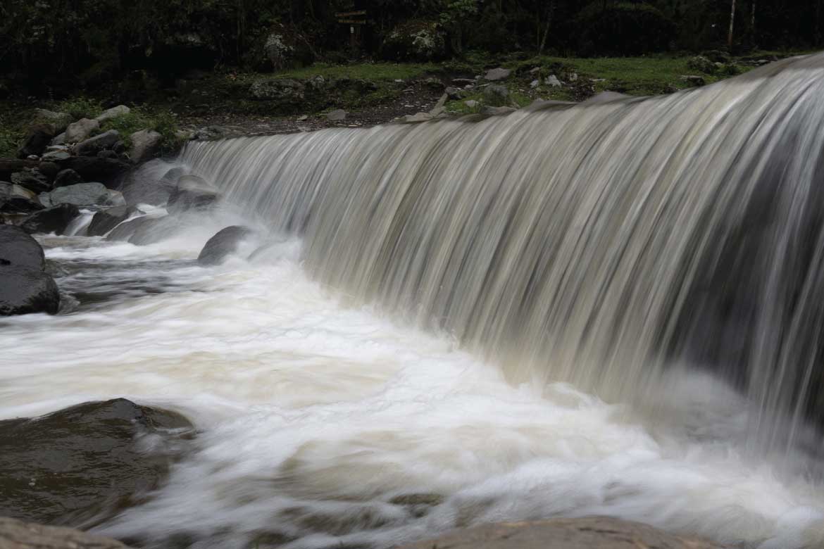 Cocora Valley Colombia