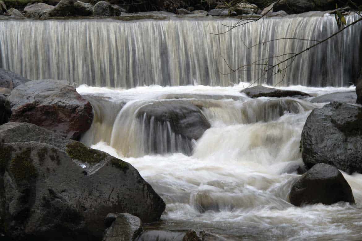 Cocora Valley Colombia