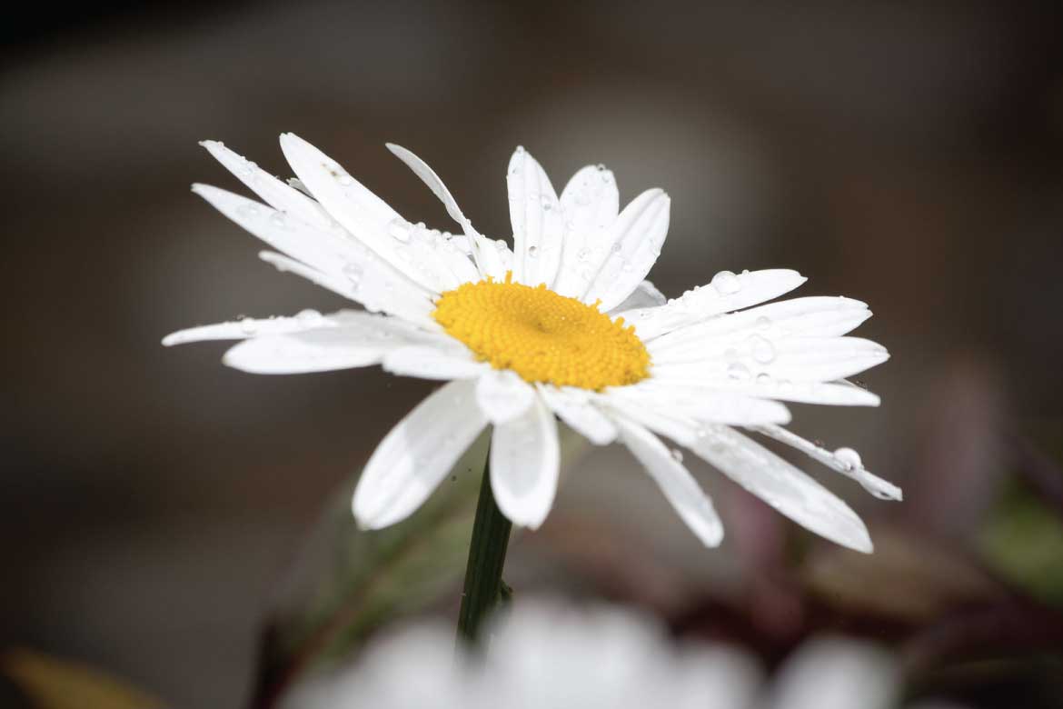 San Agustín Colombia archaeology tour