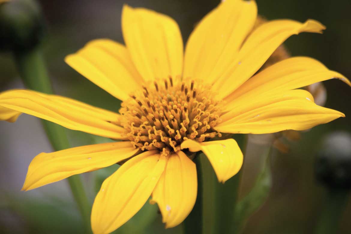 San Agustín Colombia archaeology tour
