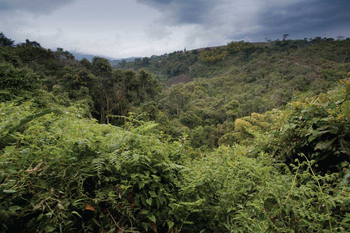 San Agustín Colombia archaeology tour
