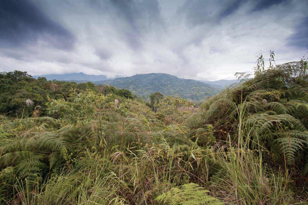 San Agustín Colombia archaeology tour