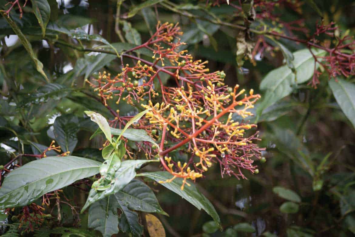 San Agustín Colombia archaeology tour