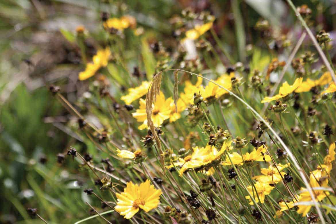 San Agustín Colombia archaeology tour