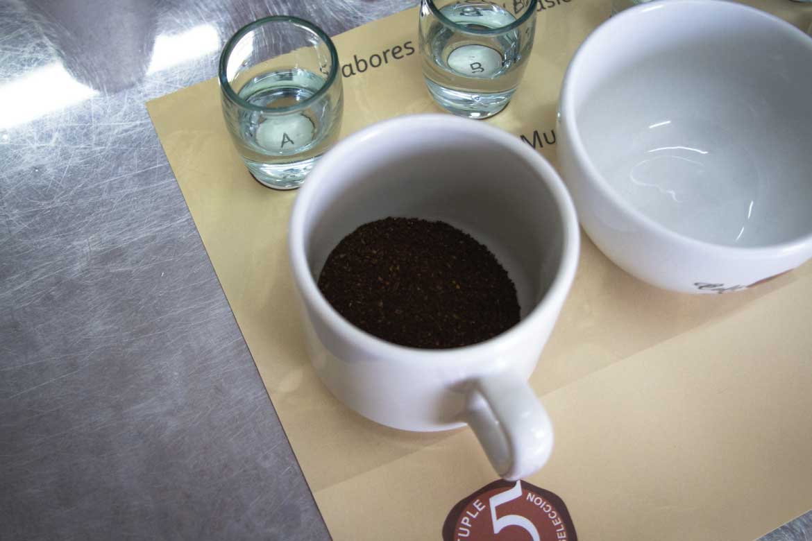 San Alberto coffee tour Buenavista