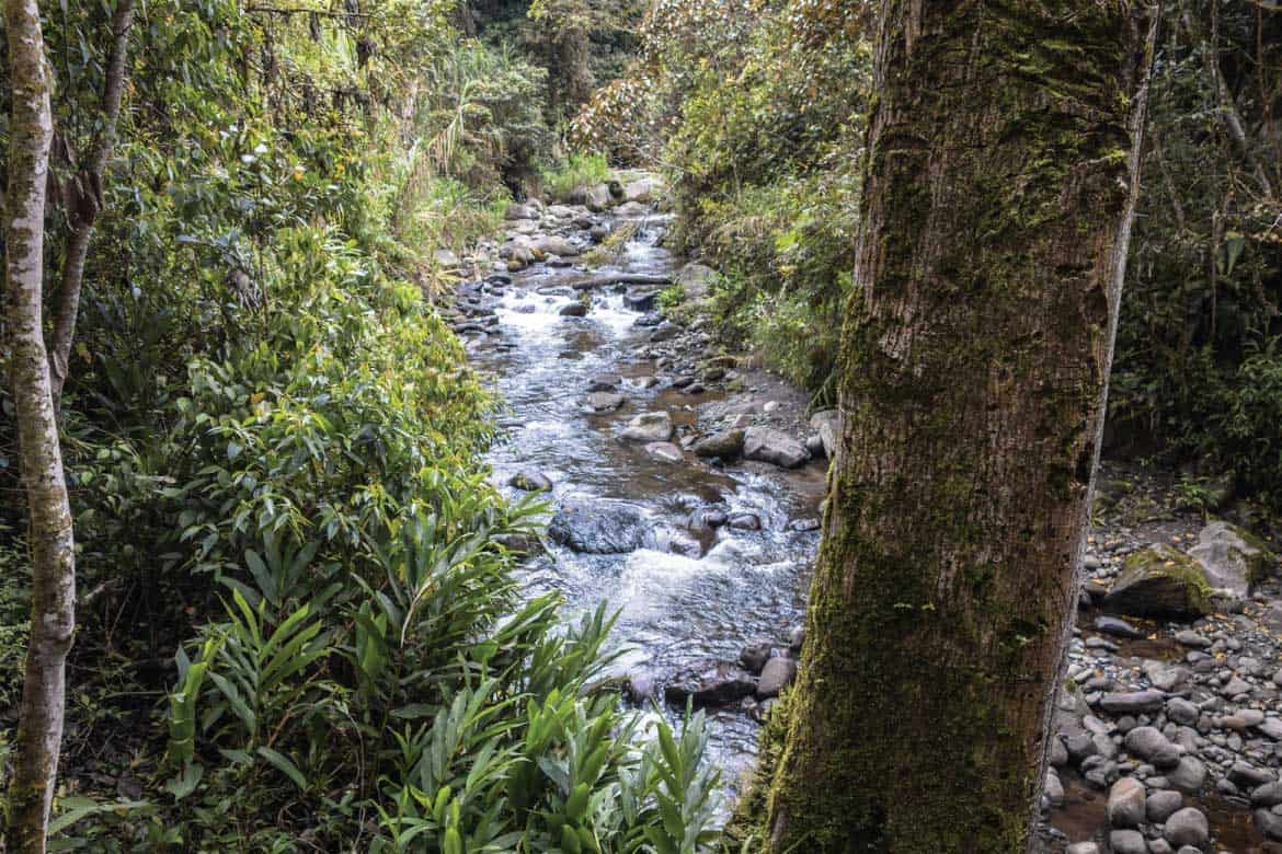 Tierradentro Colombia archaeology tour