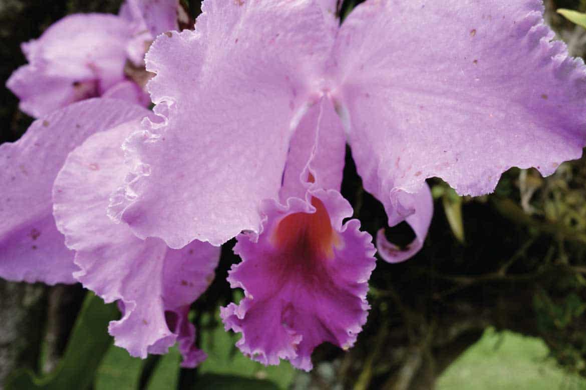 Tierradentro Colombia archaeology tour