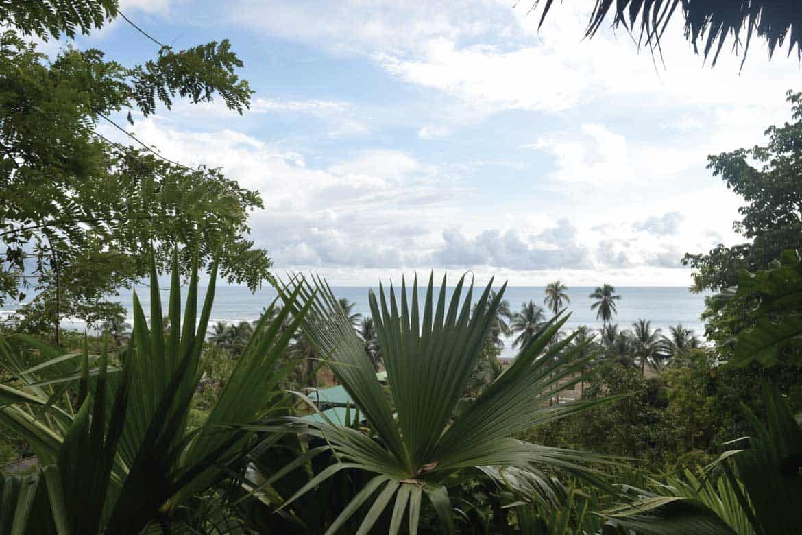 Bahía Solano Colombia whale watching and nature tours