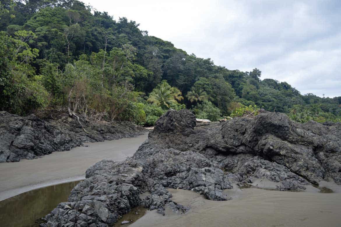 Bahía Solano Colombia whale watching and nature tours