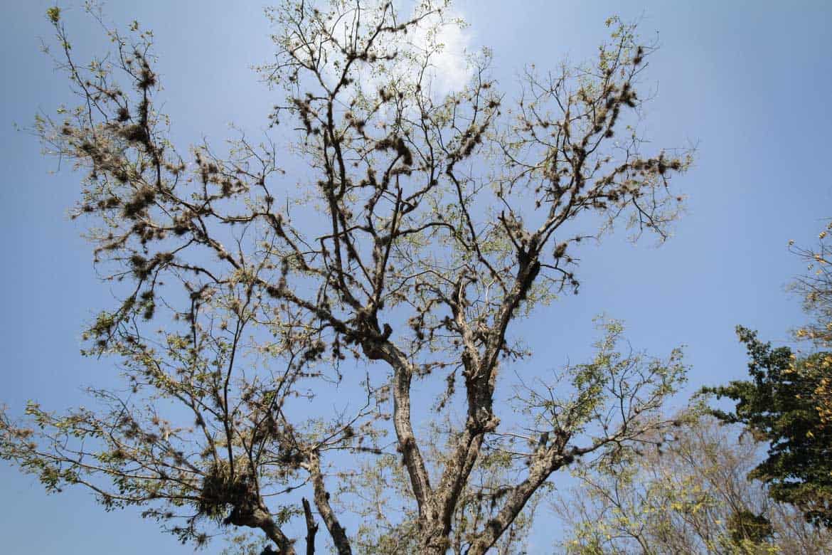 Camino Real Barichara to Guane hiking