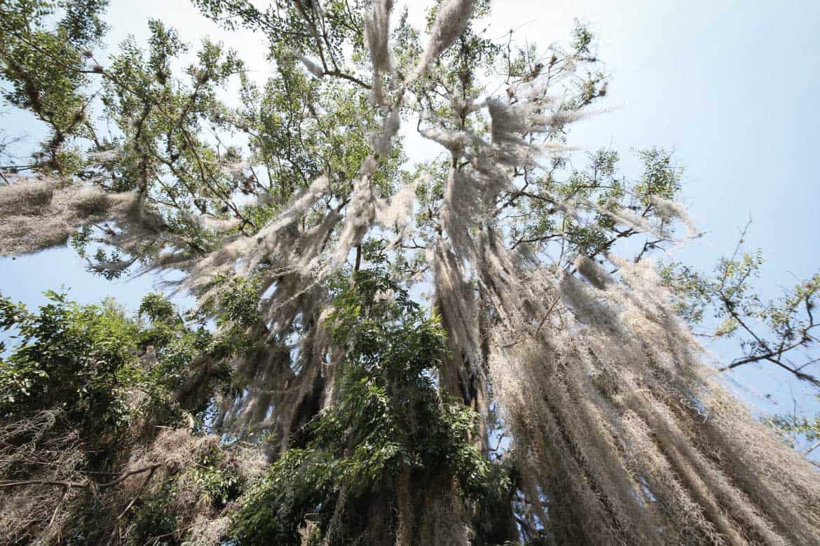 Camino Real Barichara to Guane hiking
