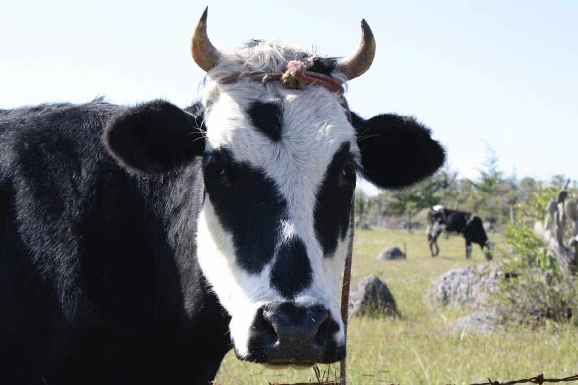 Villa de Leyva Colombia