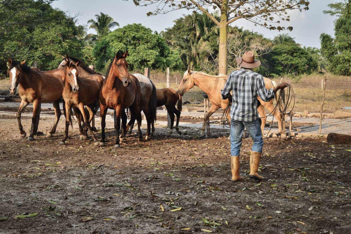 Los Llanos Colombia